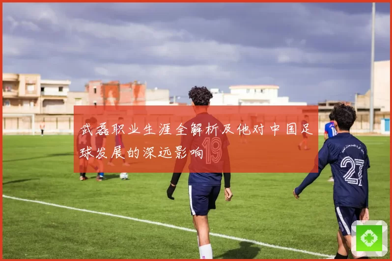 武磊职业生涯全解析及他对中国足球发展的深远影响