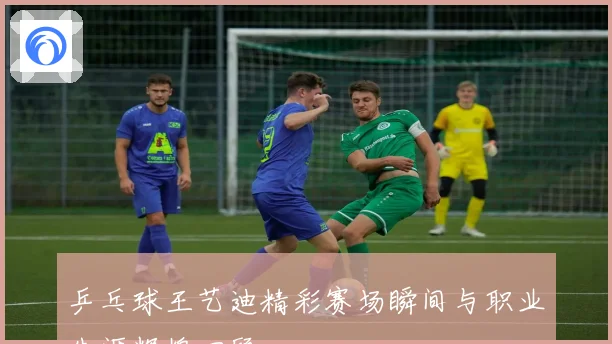 乒乓球王艺迪精彩赛场瞬间与职业生涯辉煌回顾