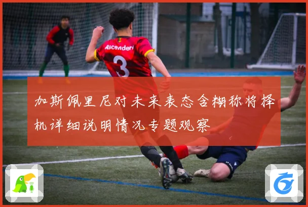 加斯佩里尼对未来表态含糊称将择机详细说明情况专题观察