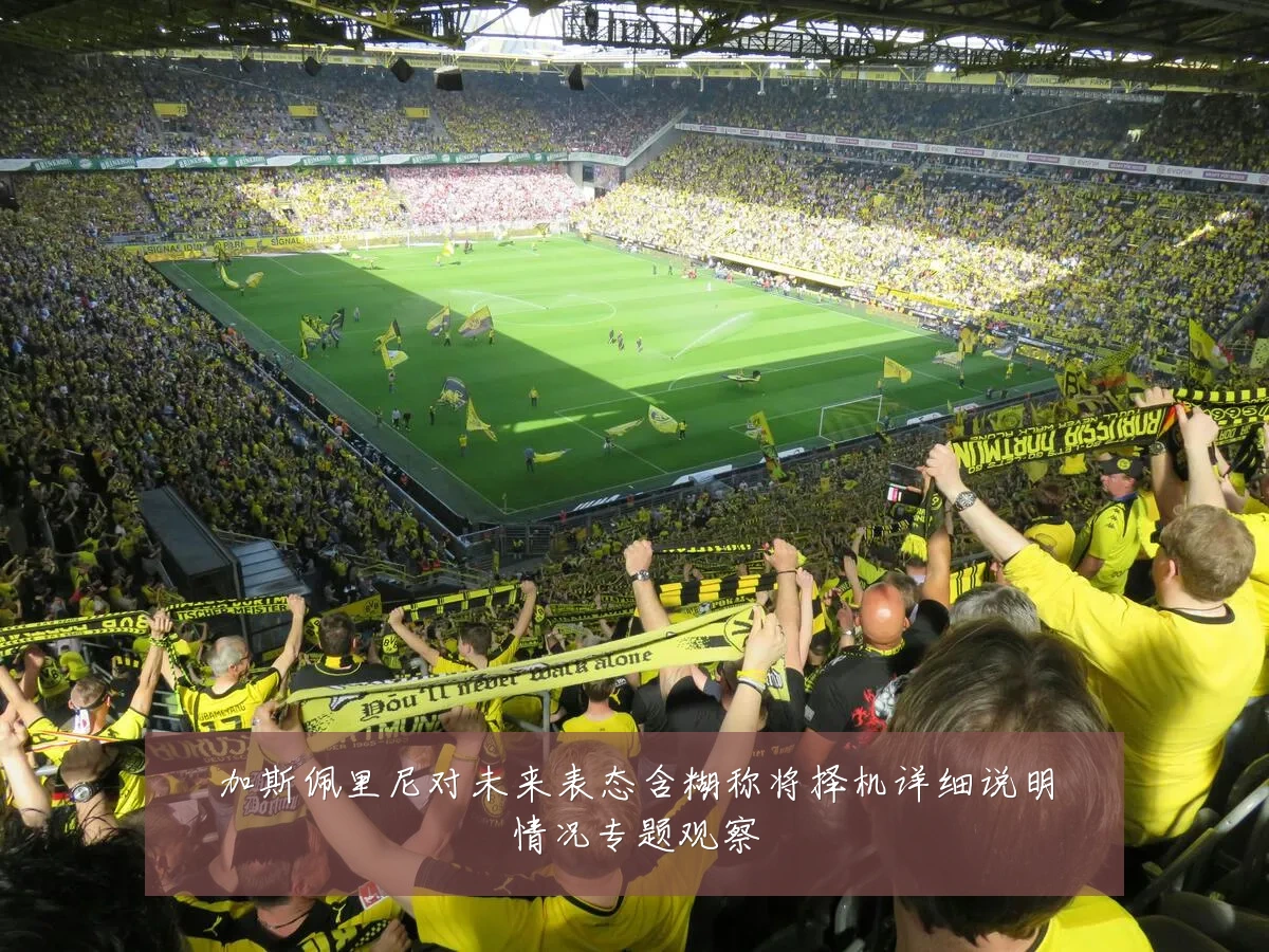 加斯佩里尼对未来表态含糊称将择机详细说明情况专题观察